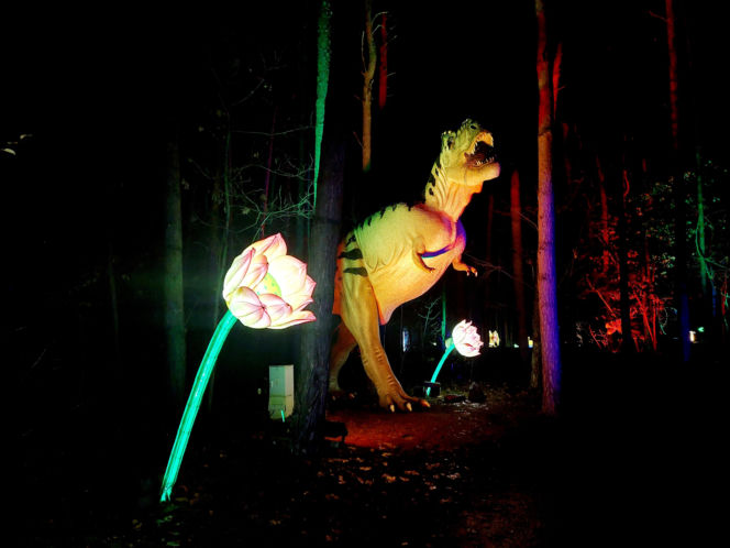 Lumina Park Bydgoszcz