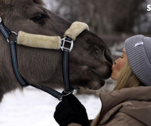 Joanna Krupa odwiedza schronisko dla zwierząt