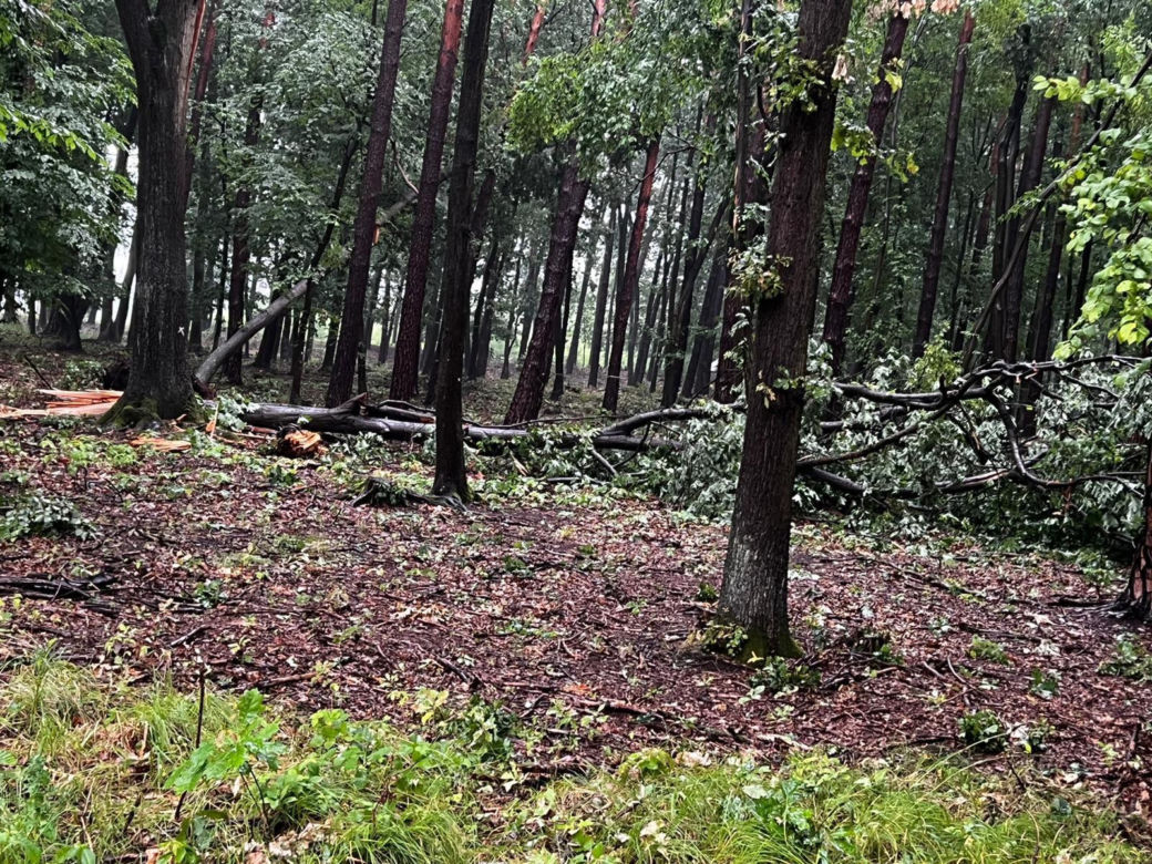 Nawałnice w Małopolsce. Setki interwencji straży pożarnej