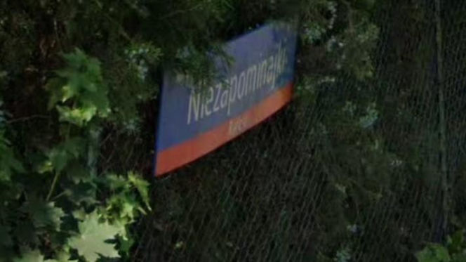 Oto najbardziej "wiosenne" ulice w stolicy! Tu wiosna trwa cały rok!