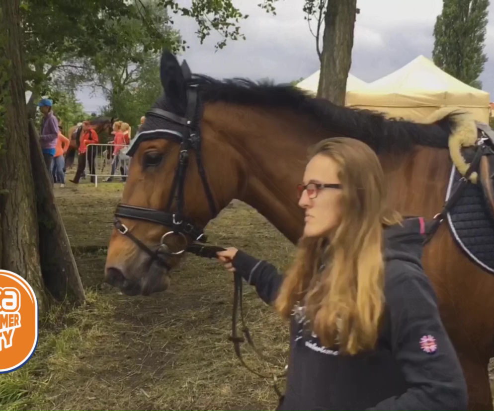 ESKA Summer City: Sedina Horse Show