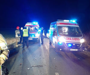 Tragedia Pod Nowym Dworem Mazowieckim. 21-latka straciła życie w wypadku