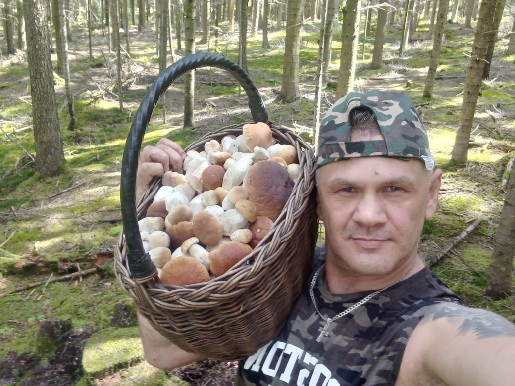 Już SĄ. Grzyby w świętokrzyskich lasach! 