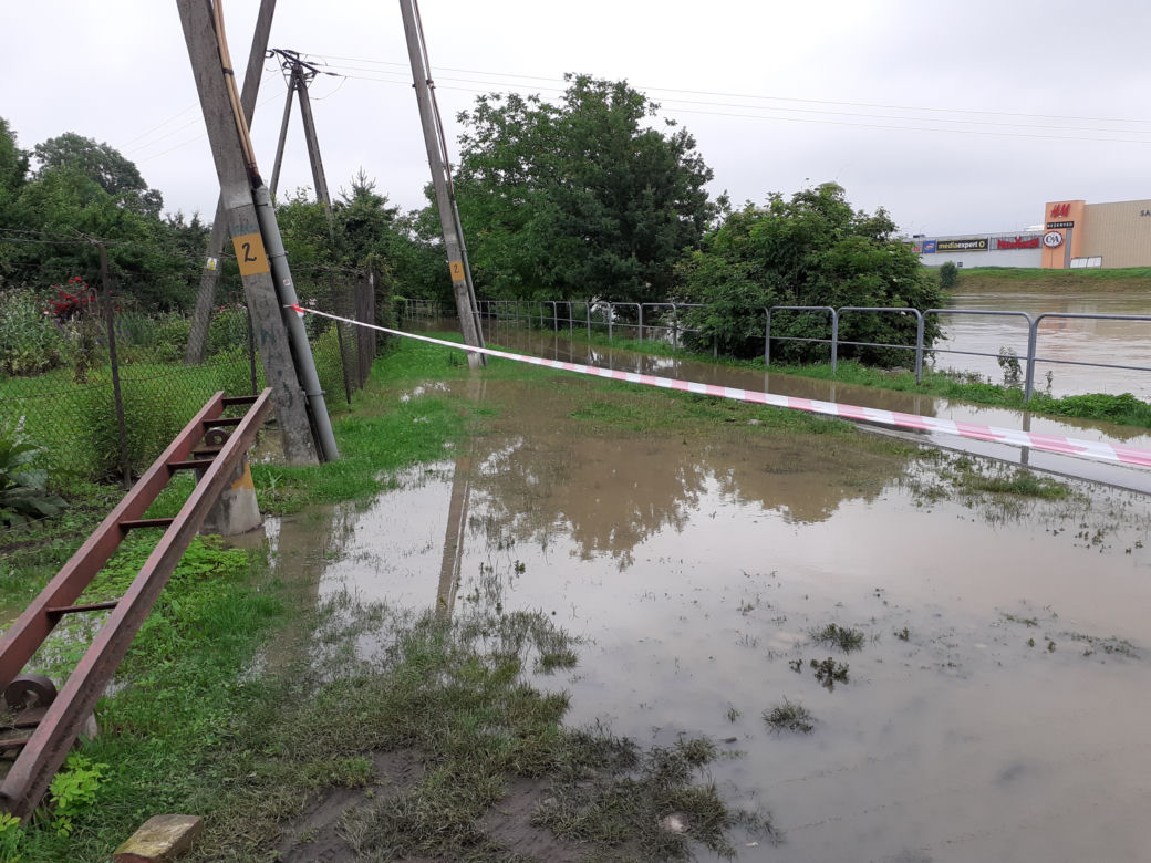 Przemyśl: San zalał ogródki działkowe i ścieżki rowerowe
