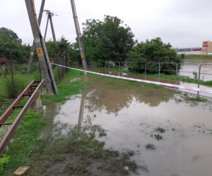 Przemyśl: San zalał ogródki działkowe i ścieżki rowerowe