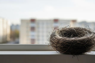 Loteria urodzeniowa w Sosnowcu. Mieszkanie za dziecko to realna wizja?