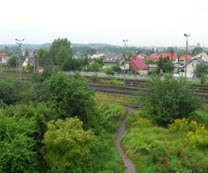 Olszynka