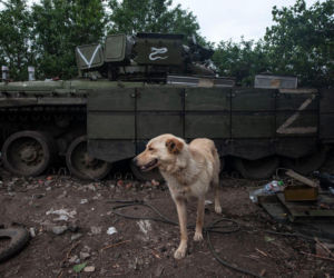 Jak zmieniła się Rosja po czterech latach wojny