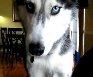 Mishka 3