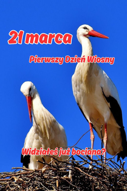 Kartki na pierwszy dzień wiosny 21 marca