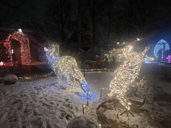 MagicznyBotaniczny 2025/2026 w Warszawie