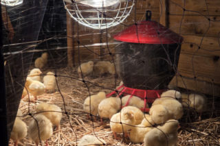 Wiosenny klimat na Politechnice Bydgoskiej. Za nami V Akademicki Jarmark Wielkanocny