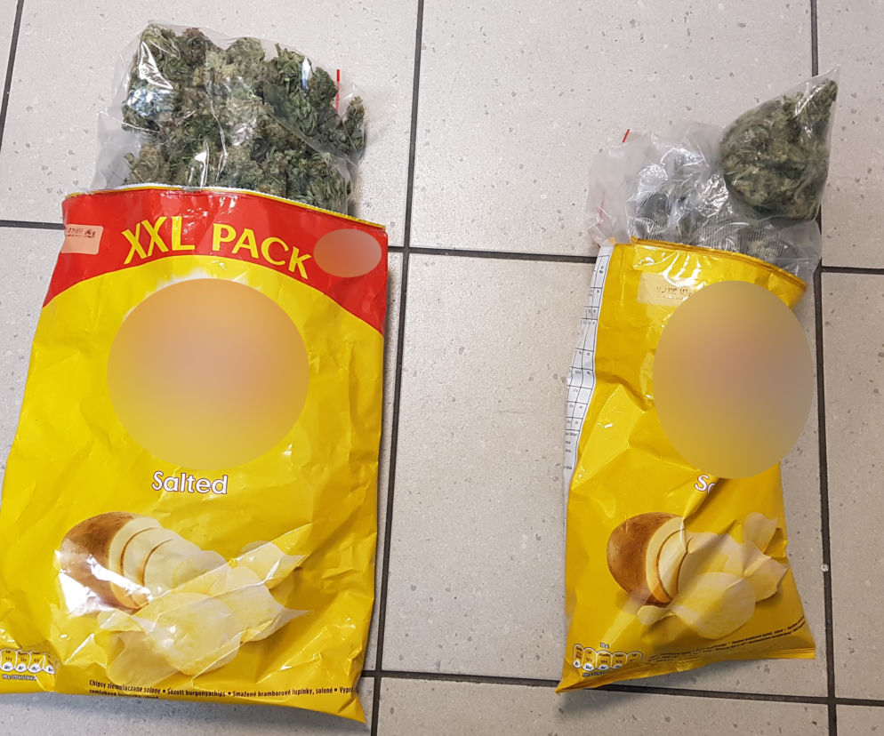 Labrador Blant wywąchał 260 gram marihuany. Była ukryta w... paczce po chipsach