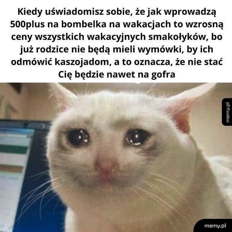 Bon turystyczny MEMY. "Kiedy jesteś bezdzietnym, pracującym obywatelem..." 