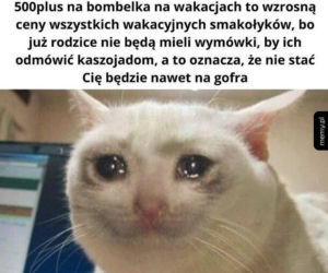 Bon turystyczny MEMY. Kiedy jesteś bezdzietnym, pracującym obywatelem... 