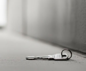 Afera w bytomskim schronisku. Jak celebryci rozgrzali miasto do czerwoności?