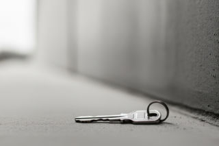 Afera w bytomskim schronisku. Jak celebryci rozgrzali miasto do czerwoności?