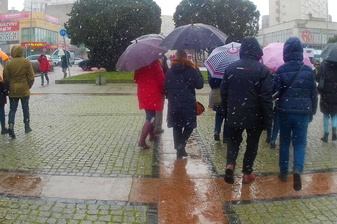 Dzień Przewodnika Turystycznego 2023 w Szczecinie