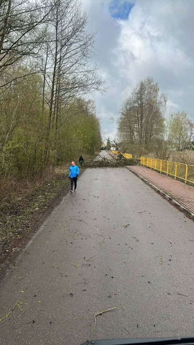 Powiat siedlecki: liczne interwencje strażaków w związku z wichurą
