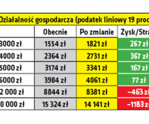 Kto zyska, kto straci na Polskim Ładzie