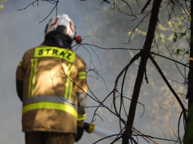 Strażacy walczą z potężnym pożarem na Mazowszu