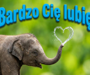 Kartki na Walentynki pełne ciepła i humoru