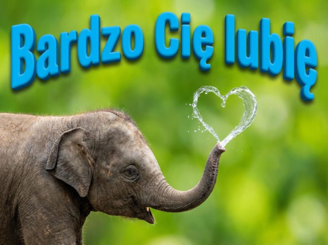 Kartki na Walentynki pełne ciepła i humoru