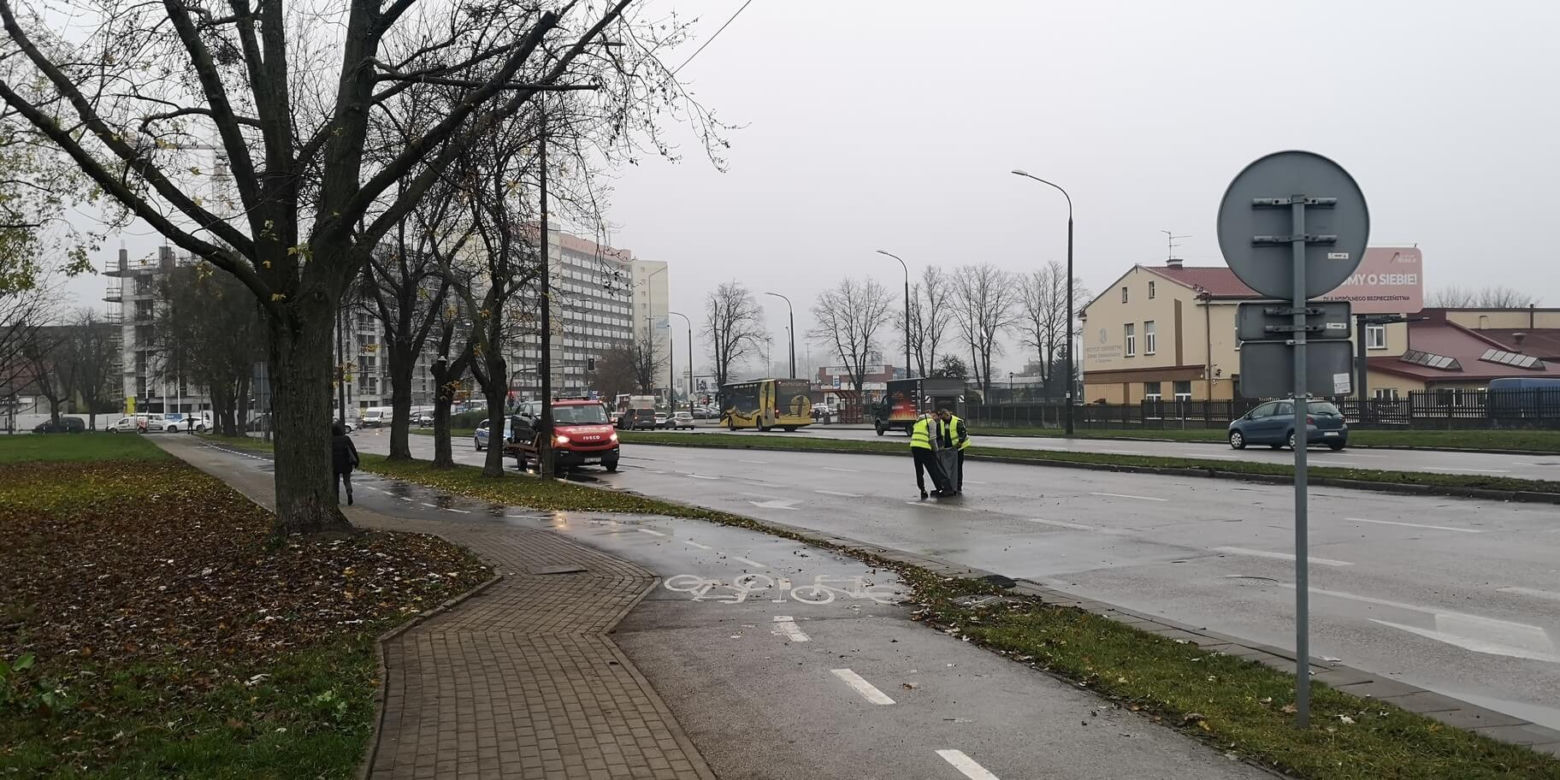 Wypadek radiowozu na Bohaterów Monte Cassino. Policjant i strażnik miejski w szpitalu  