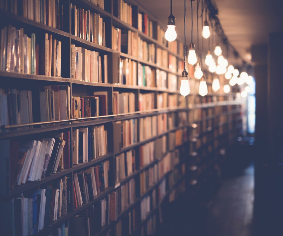 Biblioteka