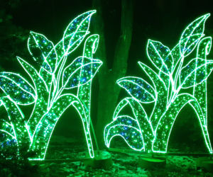 Lumina Park w Ogrodzie Botanicznym UMCS w Lublinie