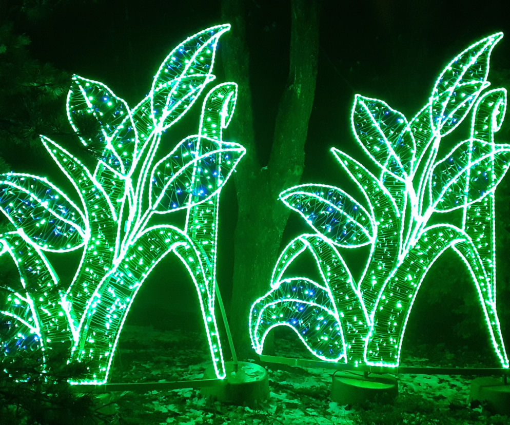 Lumina Park w Ogrodzie Botanicznym UMCS w Lublinie