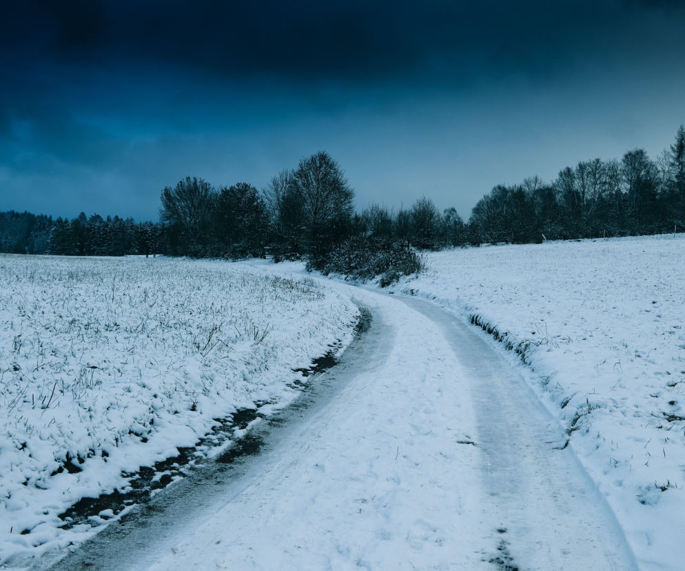 Pola zimą