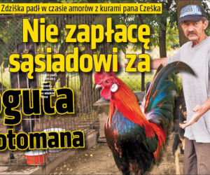 Nie zapłacę sąsiadowi zakoguta erotomana 