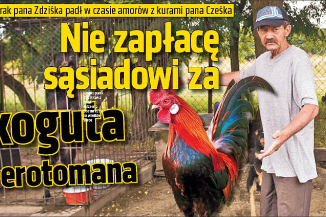 Nie zapłacę sąsiadowi zakoguta erotomana 