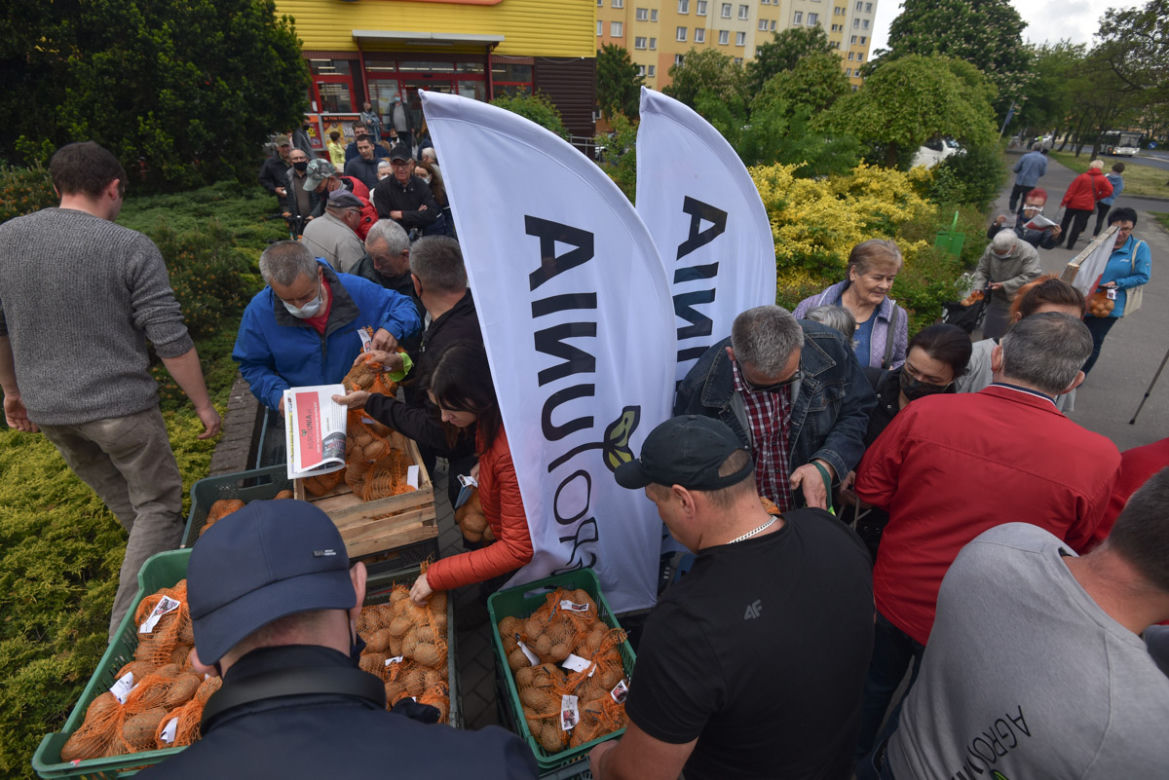 Nietypowy protest Agrounii. Rolnicy rozdawali ziemniaki w Toruniu