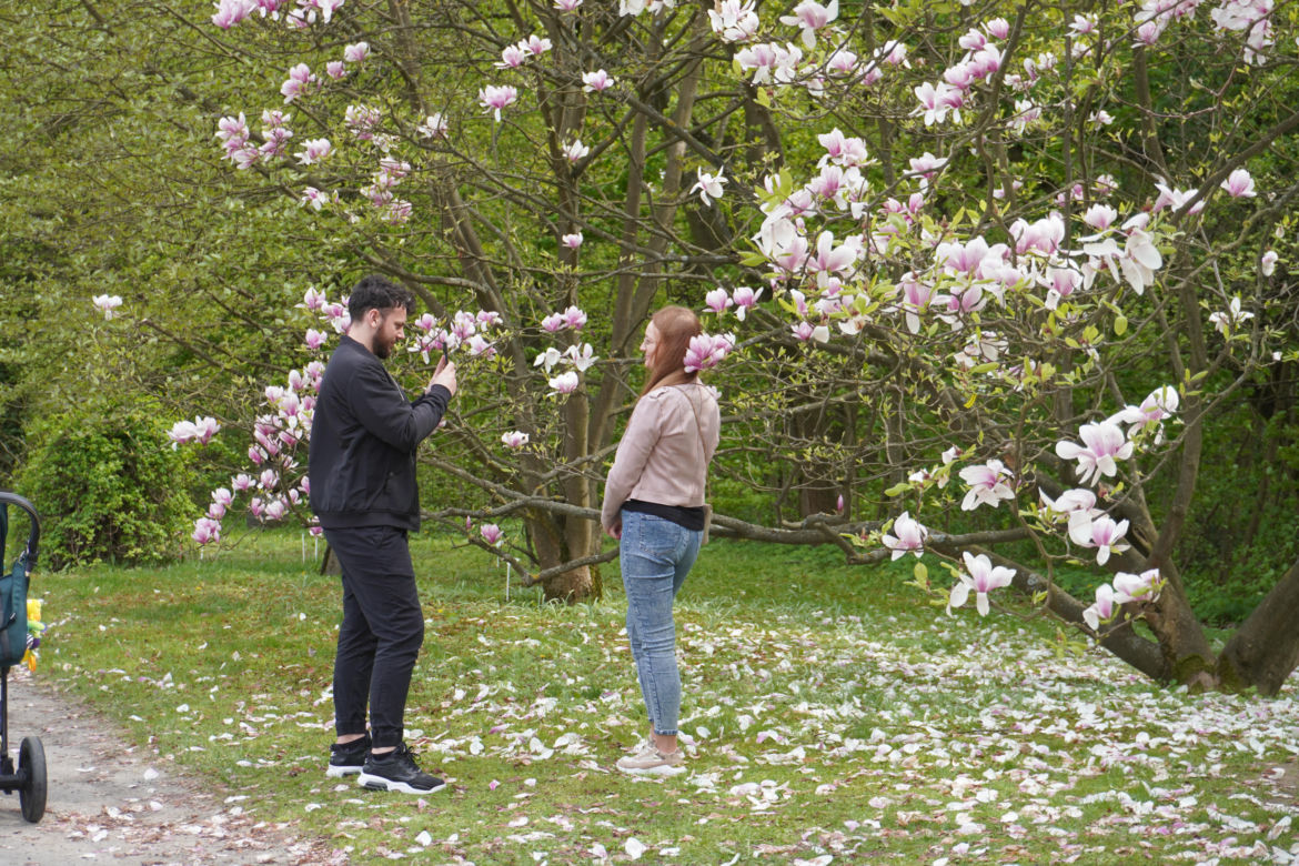 Ogród Botaniczny w Lublinie