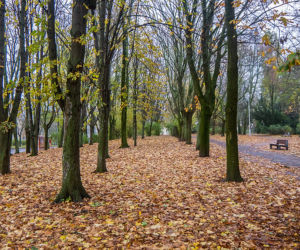 Białystok. TOP 10: Czego brakuje w mieście? Internauci wybrali