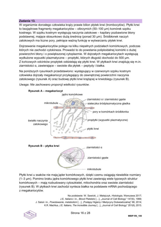 Matura próbna 2025: biologia rozszerzona. Odpowiedzi + arkusze CKE (10.12.24)