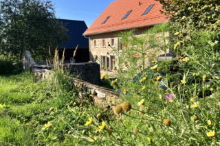 Kupili dom z kamienia i drzwiami donikąd. To było przejście do nowego życia