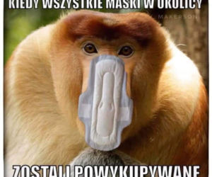 Memy o koronawirusie 2020