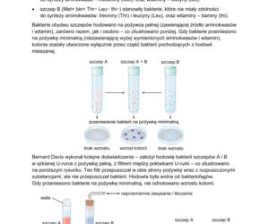 Matura 2026: biologia ROZSZERZONA 8.05.2026r. Arkusze CKE, poziom podstawowy [Formuła 2023]