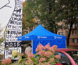 Nowy mural w Krakowie na cześć Andrzeja Wajdy. Żona reżysera nie kryje zachwytu