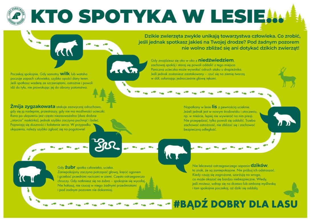 Bezpieczeństwo w lesie