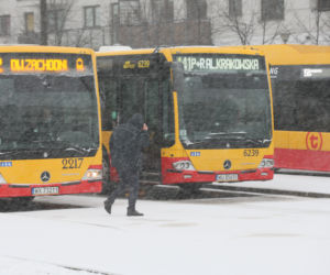 Śnieżyca