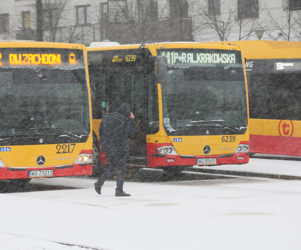 Śnieżyca