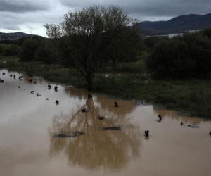 Polak zginął porwany przez żywioł. Media: „Próbował uciec z zalanego domu”