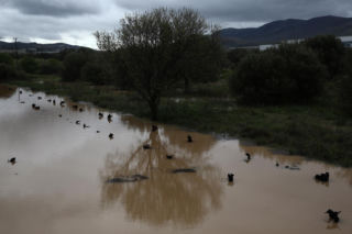 Polak zginął porwany przez żywioł. Media: „Próbował uciec z zalanego domu”