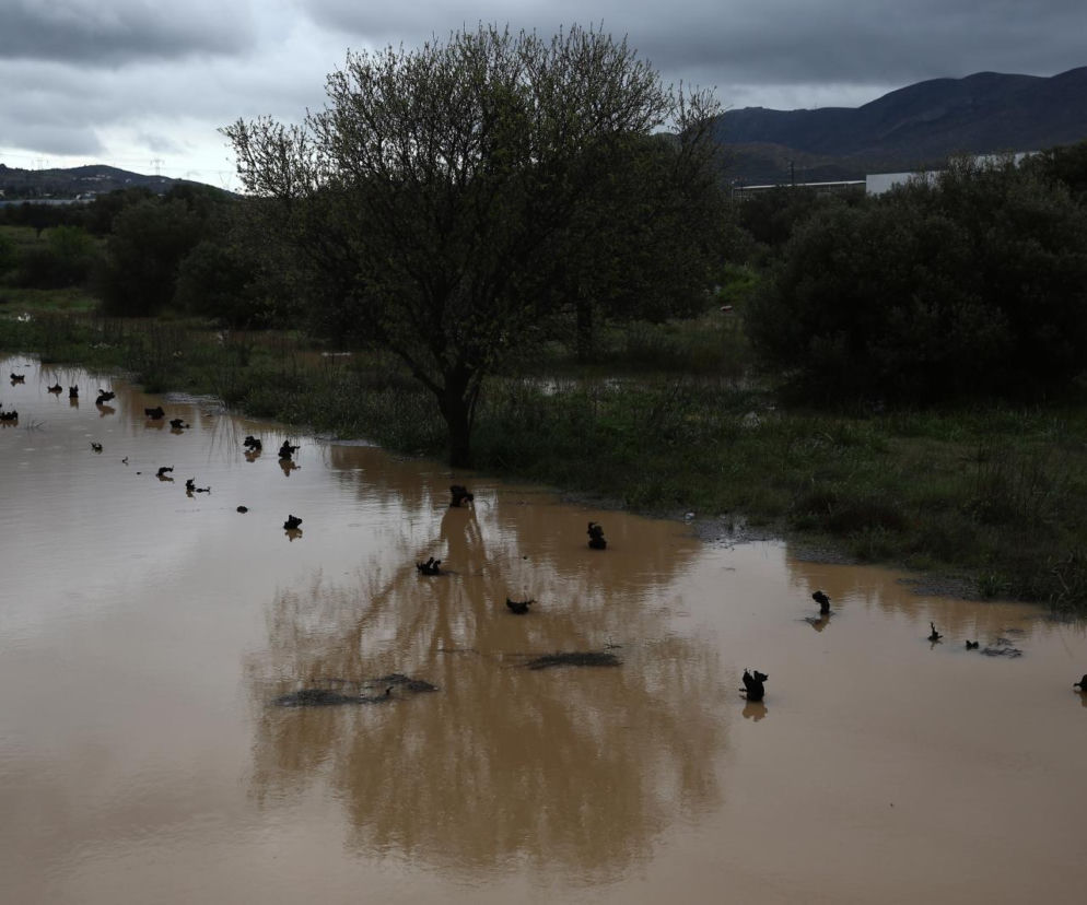 Polak zginął porwany przez żywioł. Media: „Próbował uciec z zalanego domu”