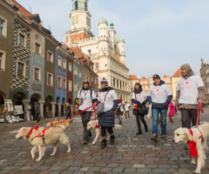 WOŚP kiedyś i dziś