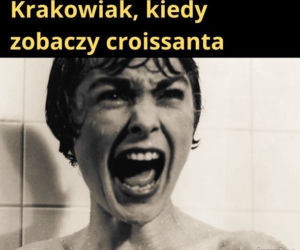 Krakowski lagun to prawdziwy FENOMEN! [MEMY]